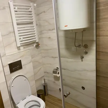 Apartman Iva Borovi Apartment Divcibare Exterior photo