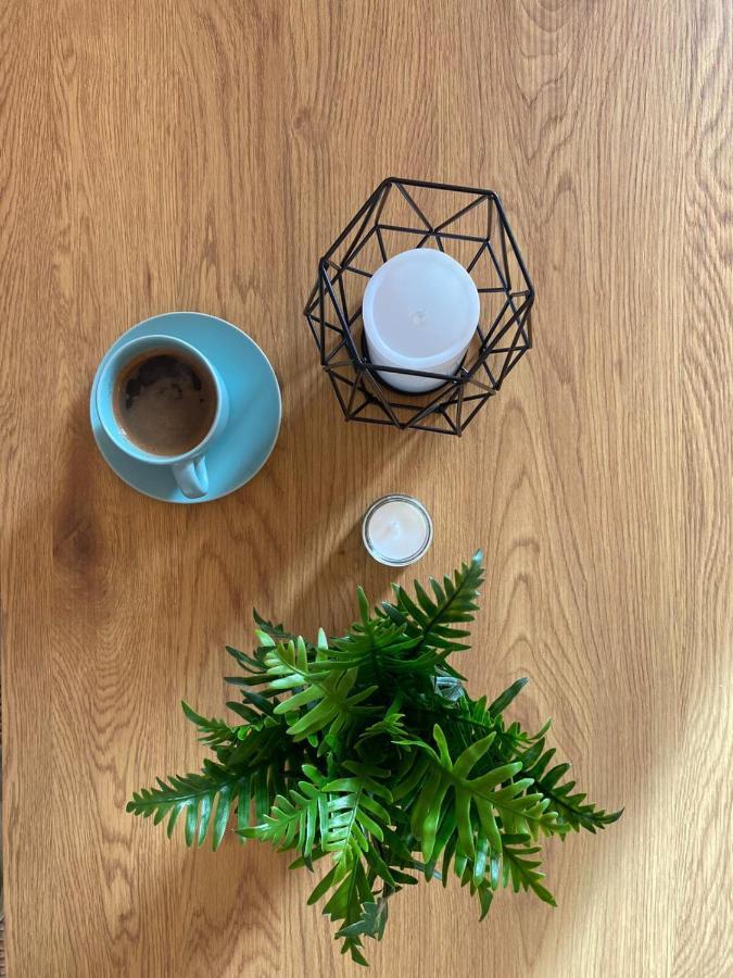 Apartman Iva Borovi * Divcibare